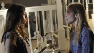 <i>Terminator: The Sarah Connor Chronicles</i>: "Allison From Palmdale"
